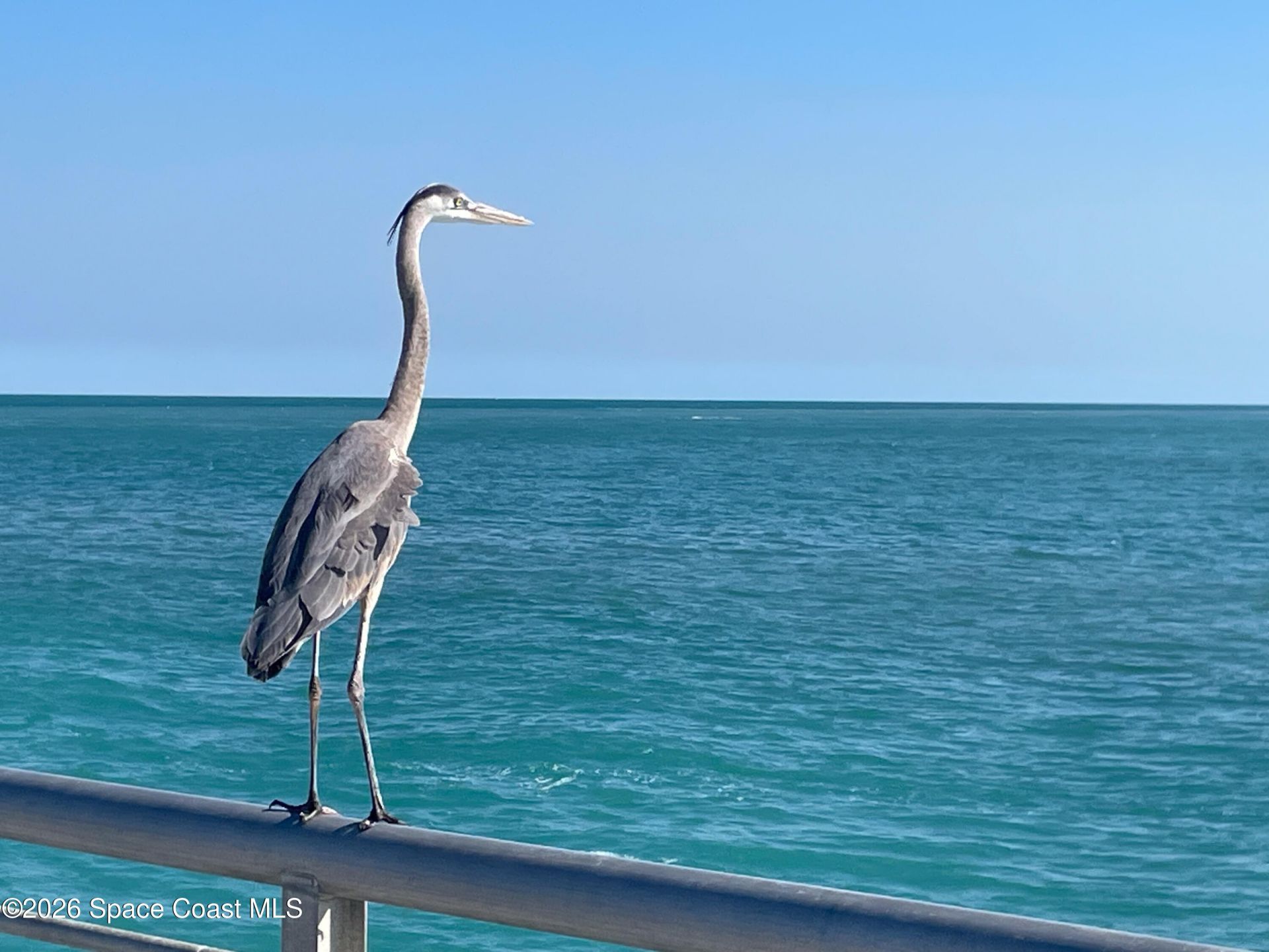 188 Bayshore Drive, Melbourne Beach, FL 32951 Photo