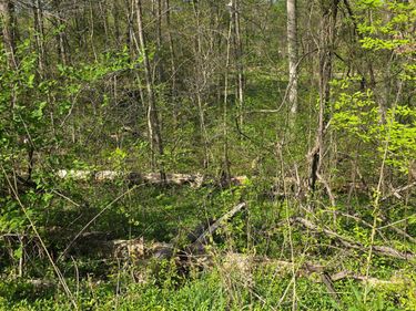 Lots 29, 30 Suncrest Drive, Unit Lots 29 &, Somerset, KY 42501