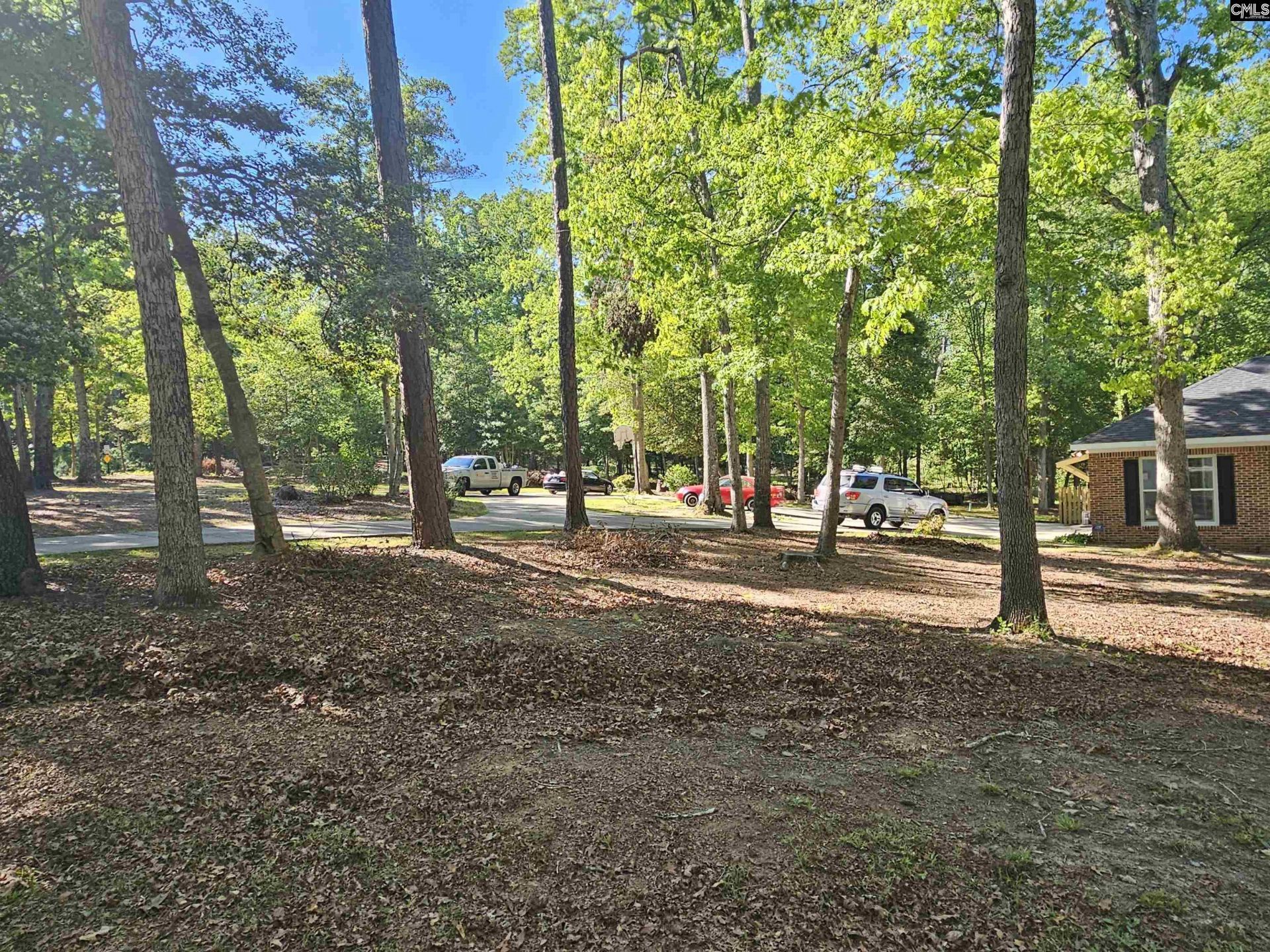 532 Rose Sharon Drive Photo 10