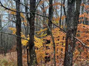 16 Silver Mine Road, North Blenheim, NY 12093