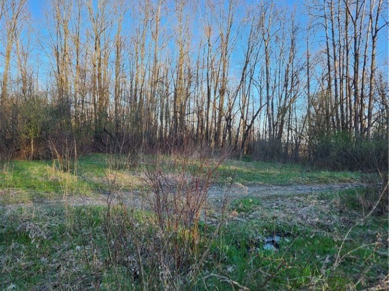 Brecknock, Niles, OH 44446 Photo 2