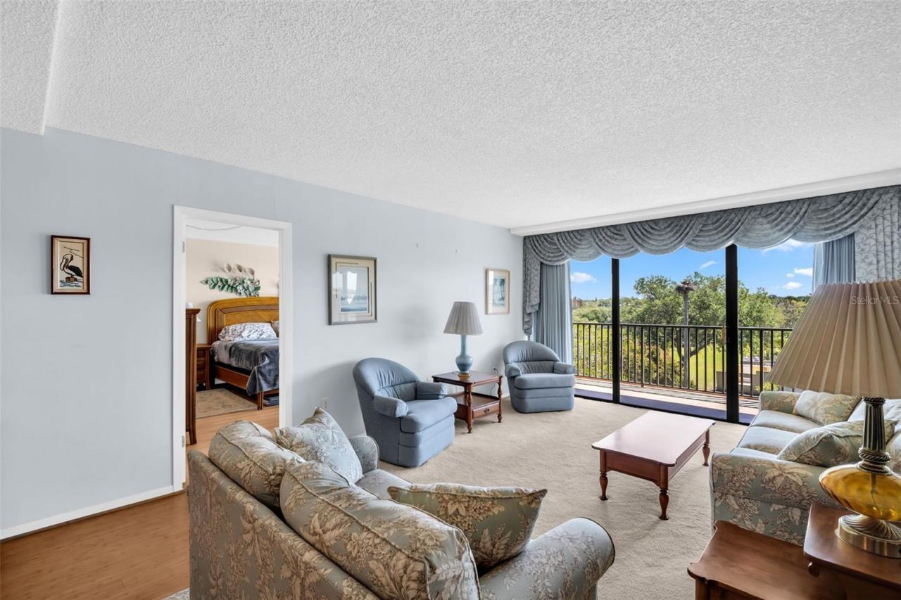 2700 Bayshore Boulevard, Unit 9305, Dunedin, FL 34698 Photo