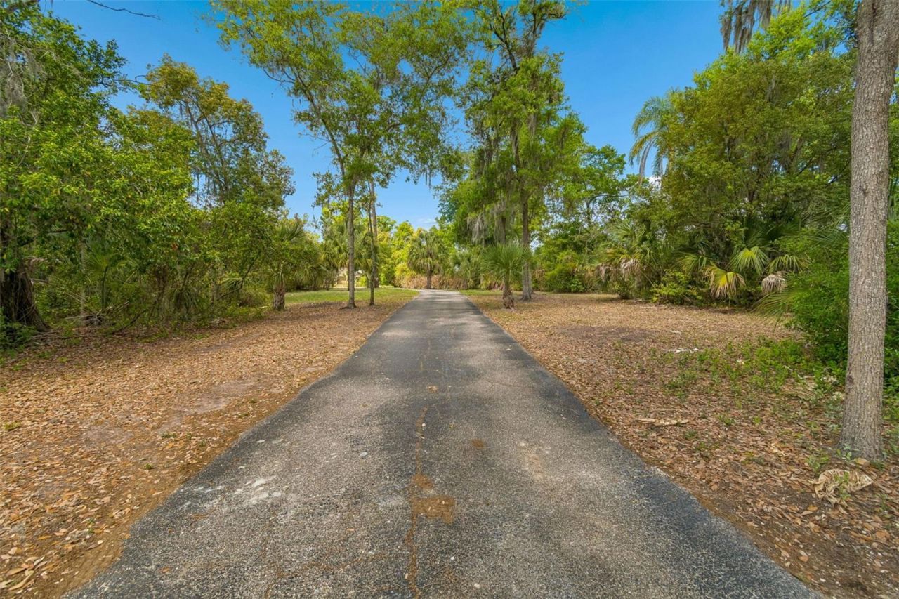 2708 Bell Shoals Road, Brandon, FL 33511 Photo