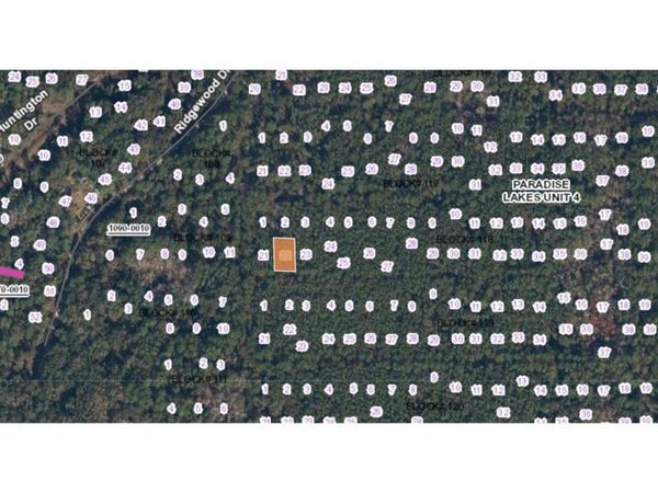 302 SIESTA DRIVE , GEORGETOWN, FL 32139
