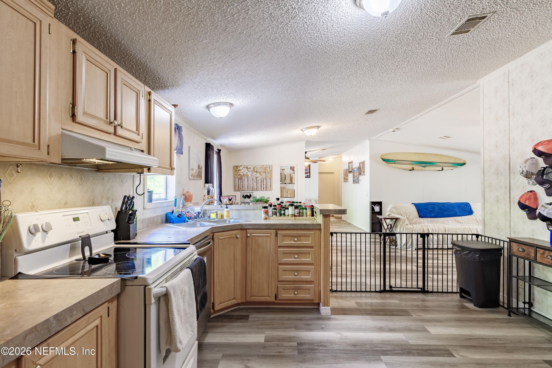 6656 Lovebird Court, Keystone Heights, FL 32656 Photo