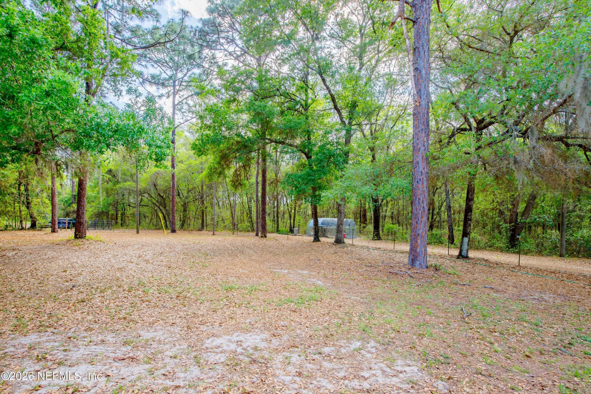 6656 Lovebird Court, Keystone Heights, FL 32656 Photo