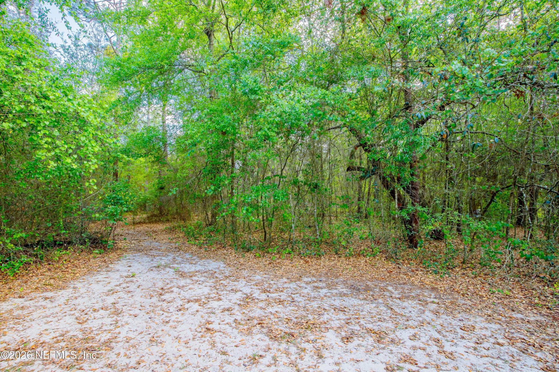 6656 Lovebird Court, Keystone Heights, FL 32656 Photo