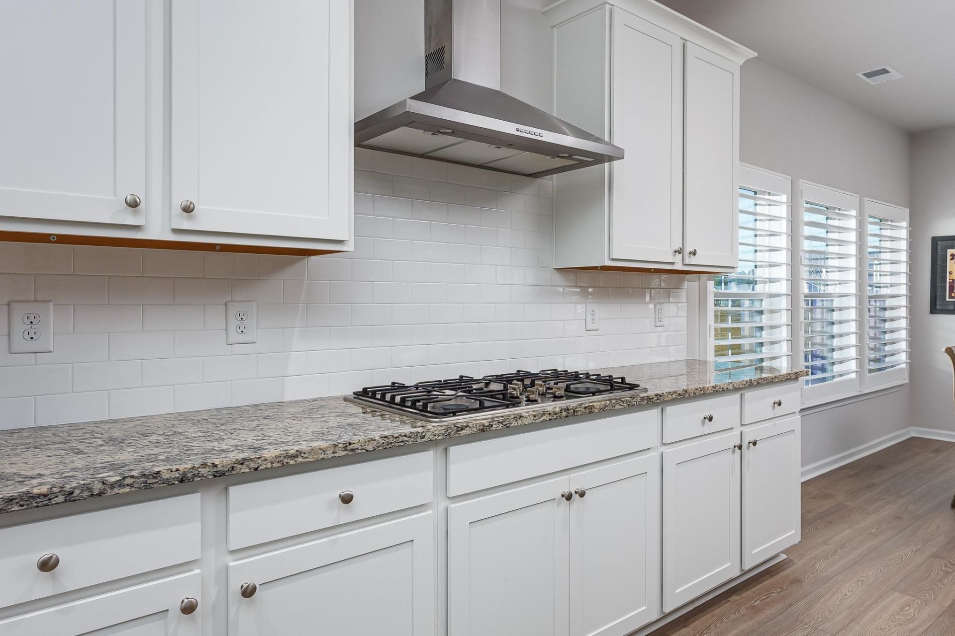 4067 Da Vinci Dr. Photo 30