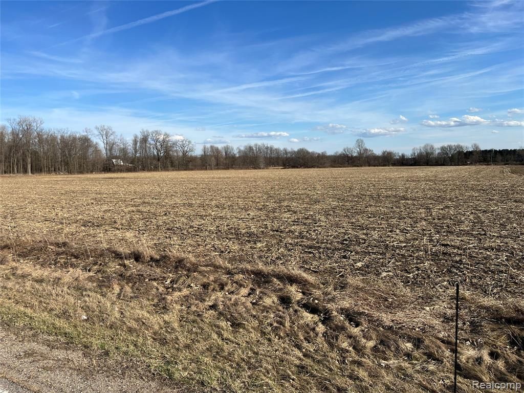 20 Acres Vacant Land Vernor Rd, Mayfield Township, MI 48446 Main Photo