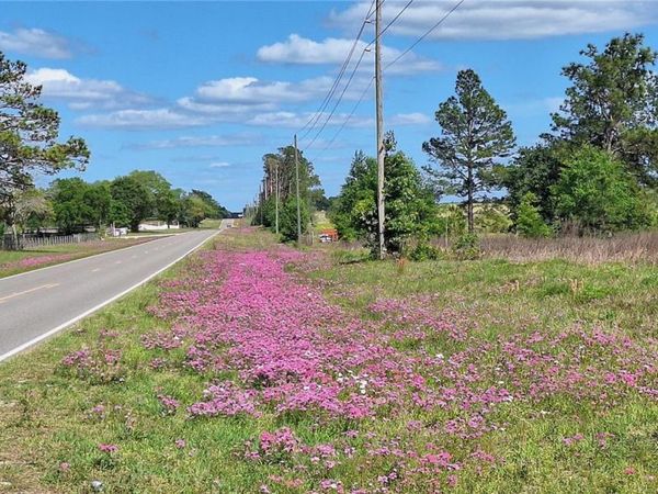 SE 60TH STREET , MORRISTON, FL 32668