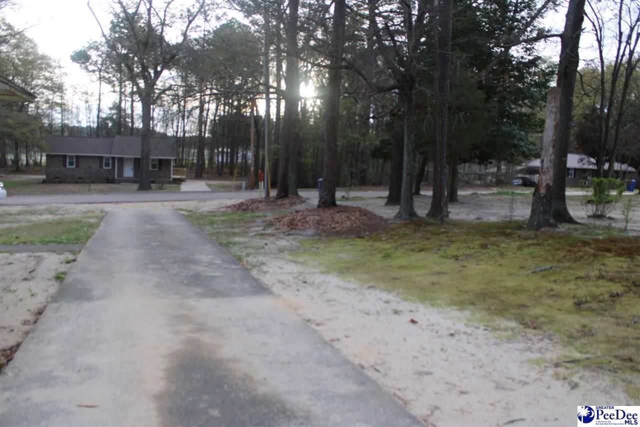 165 Pinestraw Rd. Photo 4