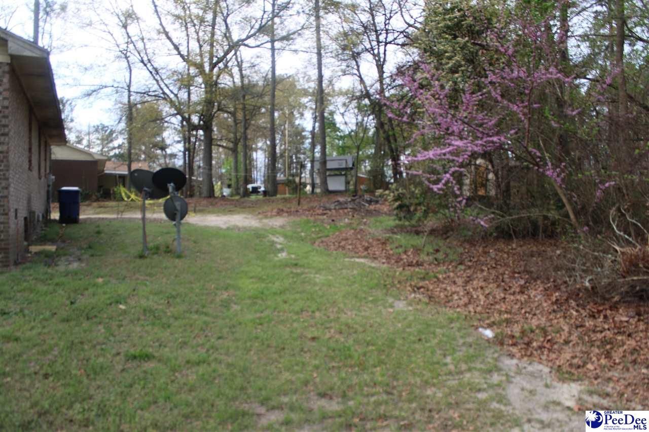 165 Pinestraw Rd. Photo 7