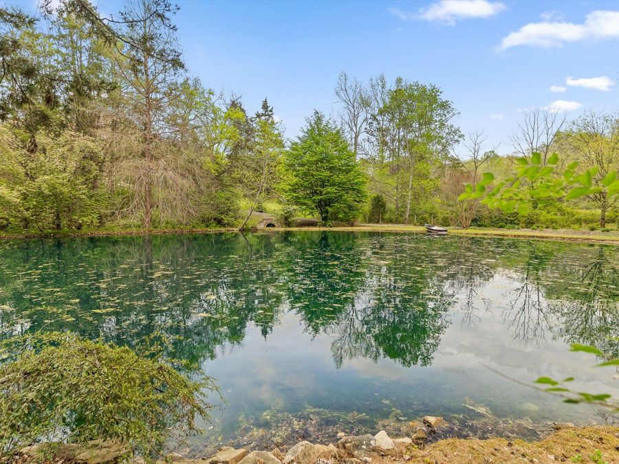 Property Image 65