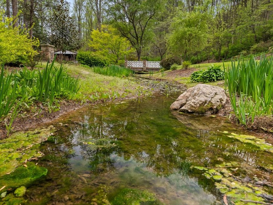 Property Image 71