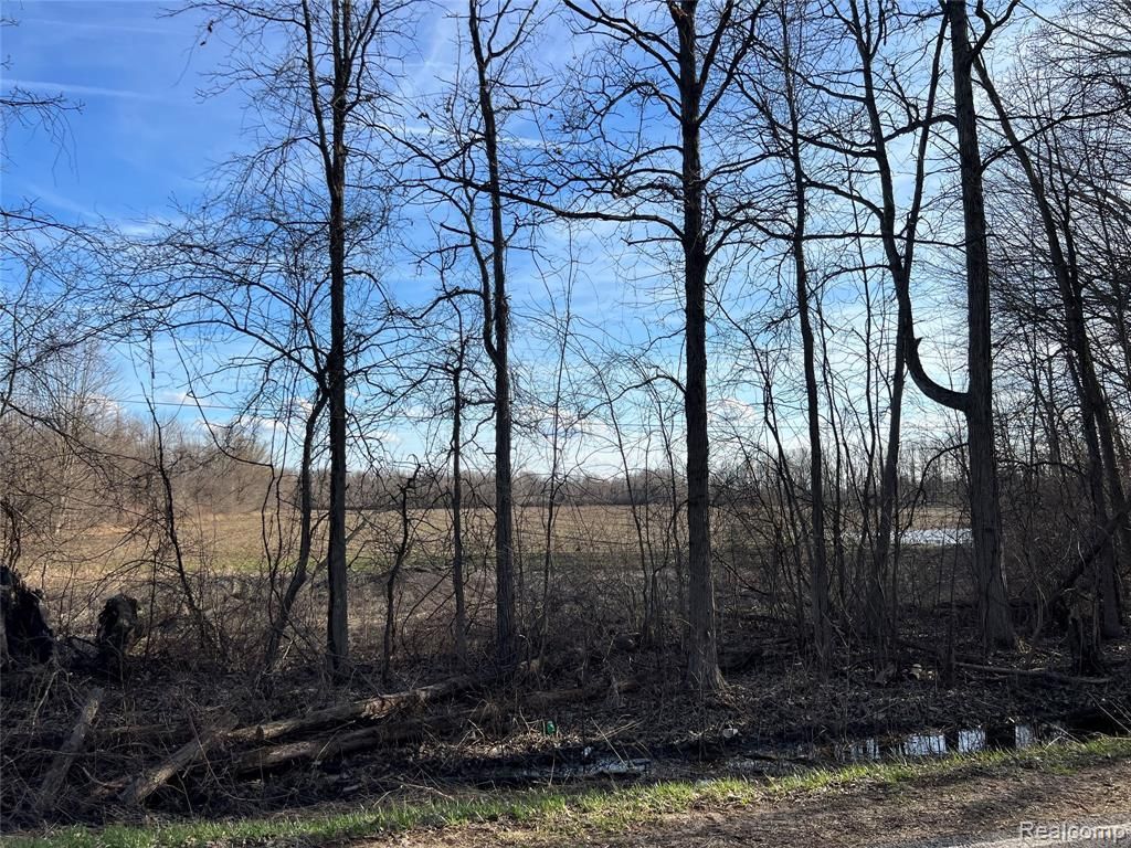10 Acres Vacant Land Vernor Road, Mayfield Township, MI 48446 Main Photo