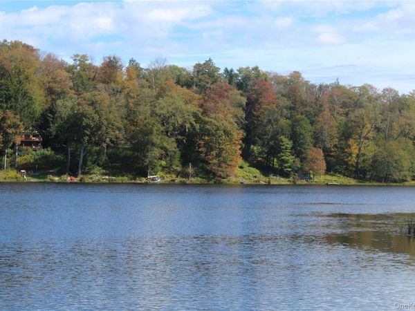 Trout Brook Road , Roscoe, NY 12736