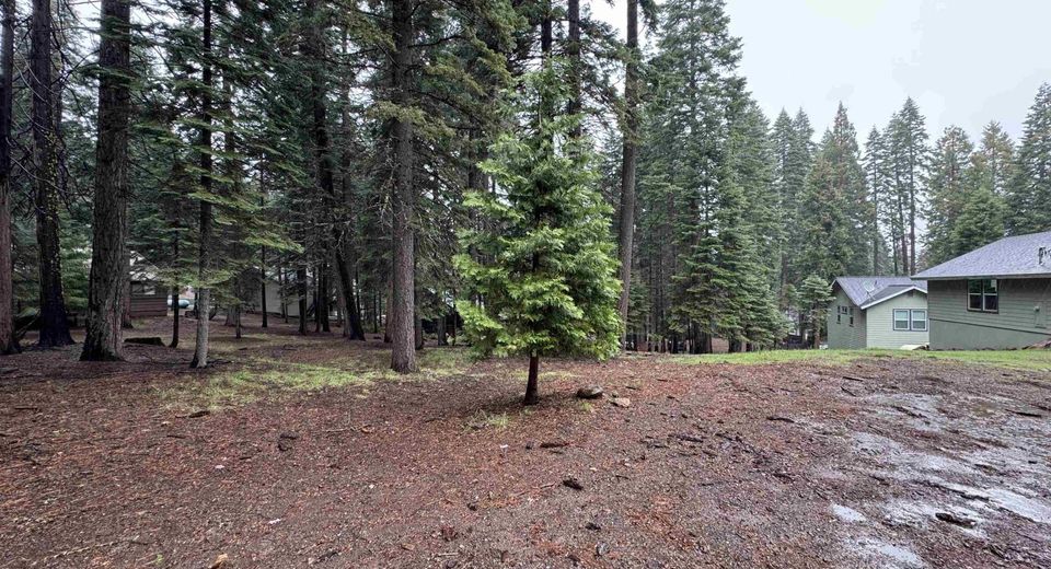 1210 White Fir Trail, Lake Almanor, CA 96137 Photo