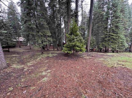 1210 White Fir Trail, Lake Almanor, CA 96137 Photo