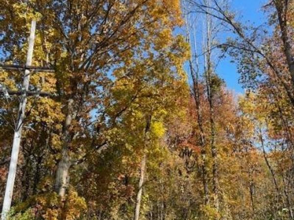 W 11th Street, Fulton, NY 13069