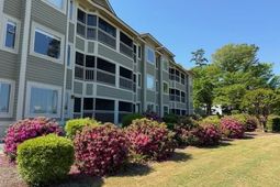 1401 Lighthouse Dr. photo 4