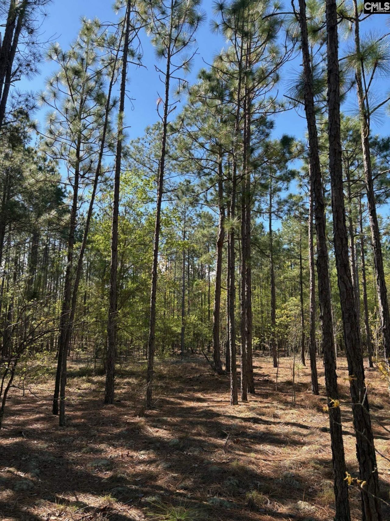 0 0 East Old Camden Hwy Photo 10