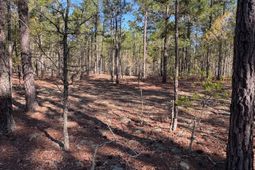 0 0 East Old Camden Hwy photo 4