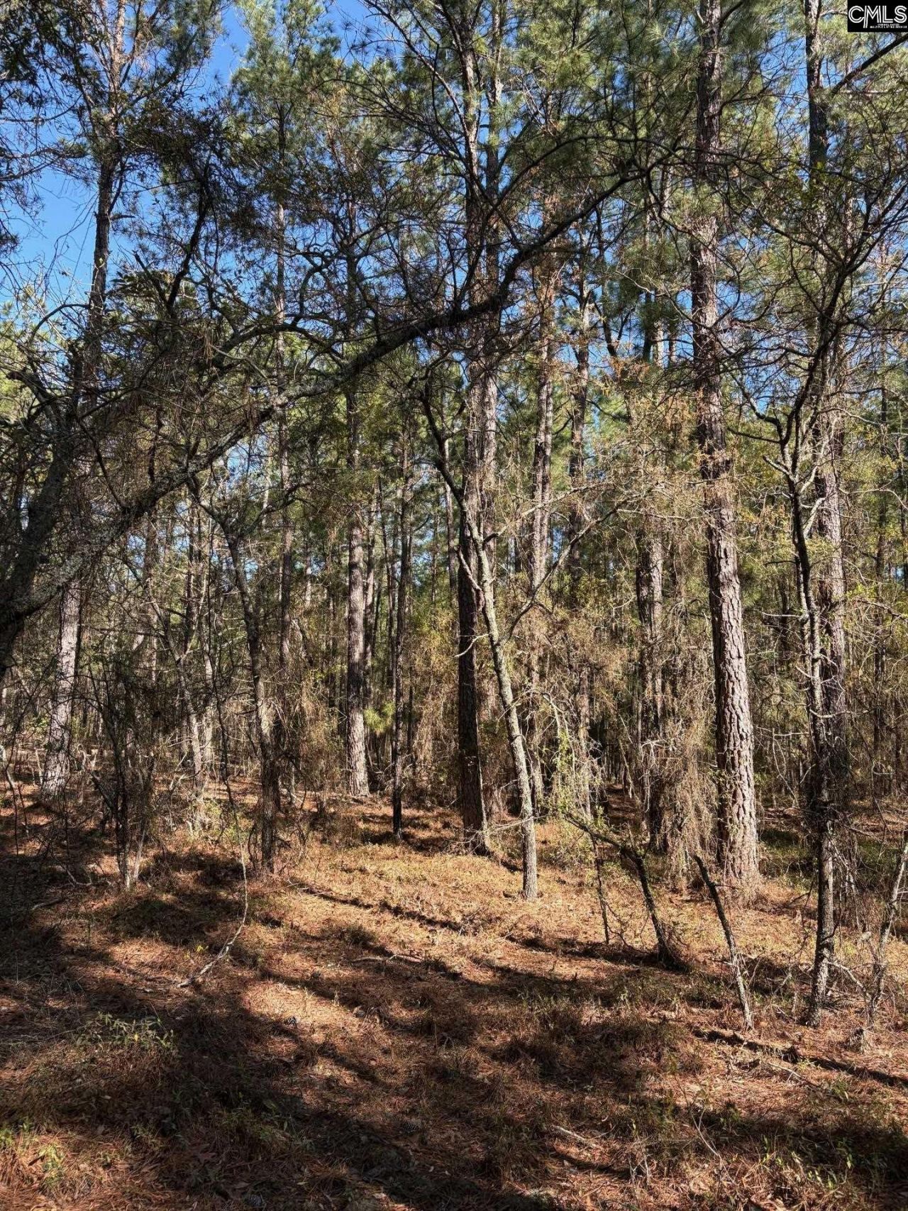 0 0 East Old Camden Hwy Photo 4