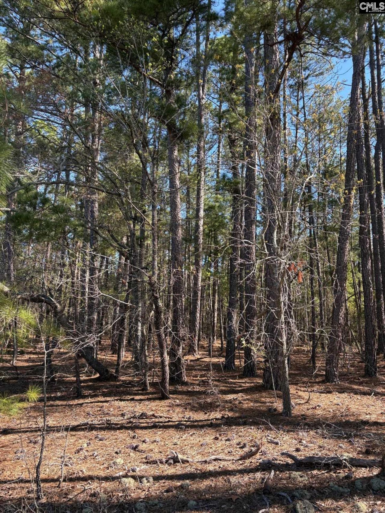 0 0 East Old Camden Hwy Photo 5