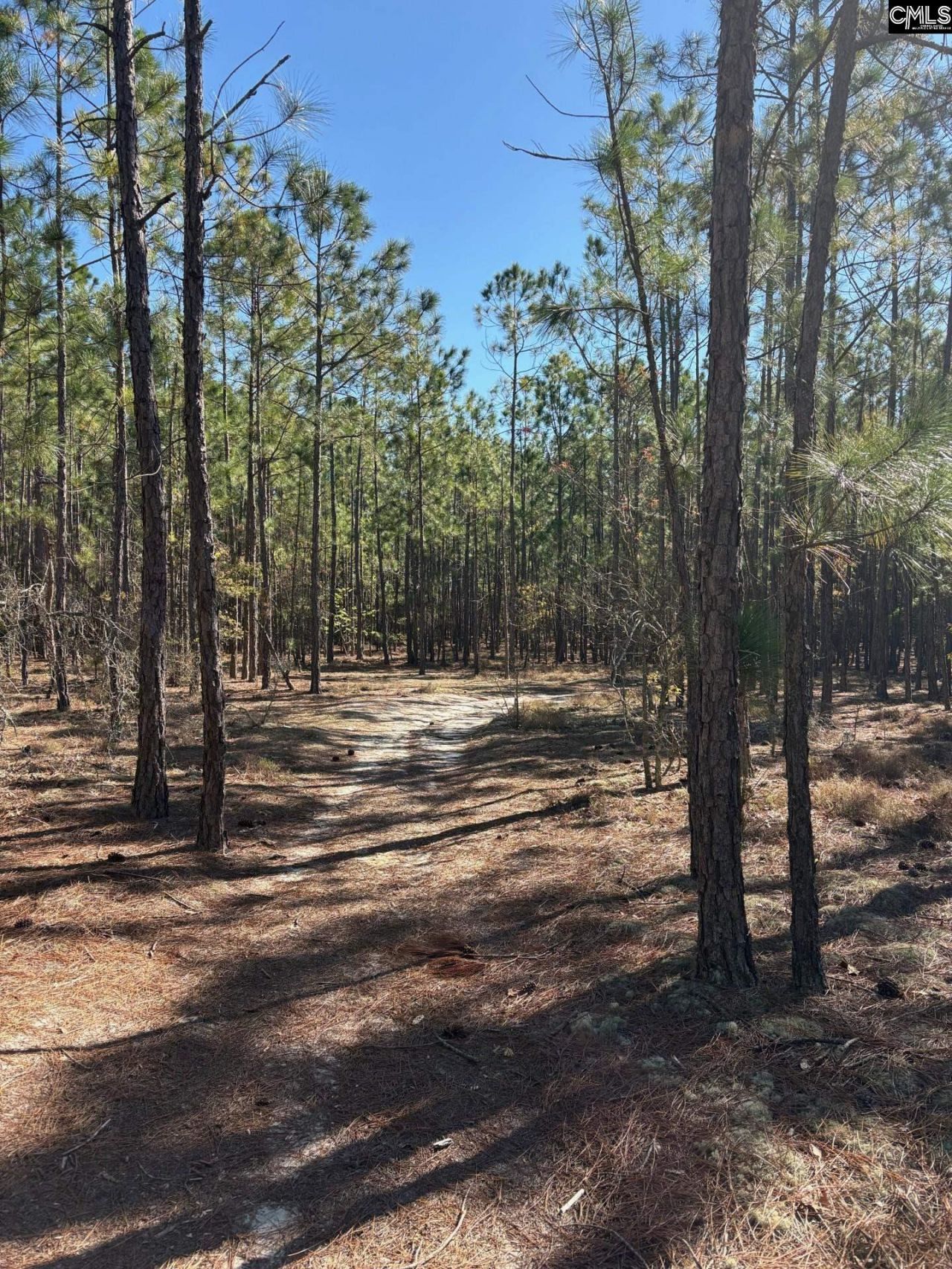 0 0 East Old Camden Hwy Photo 7