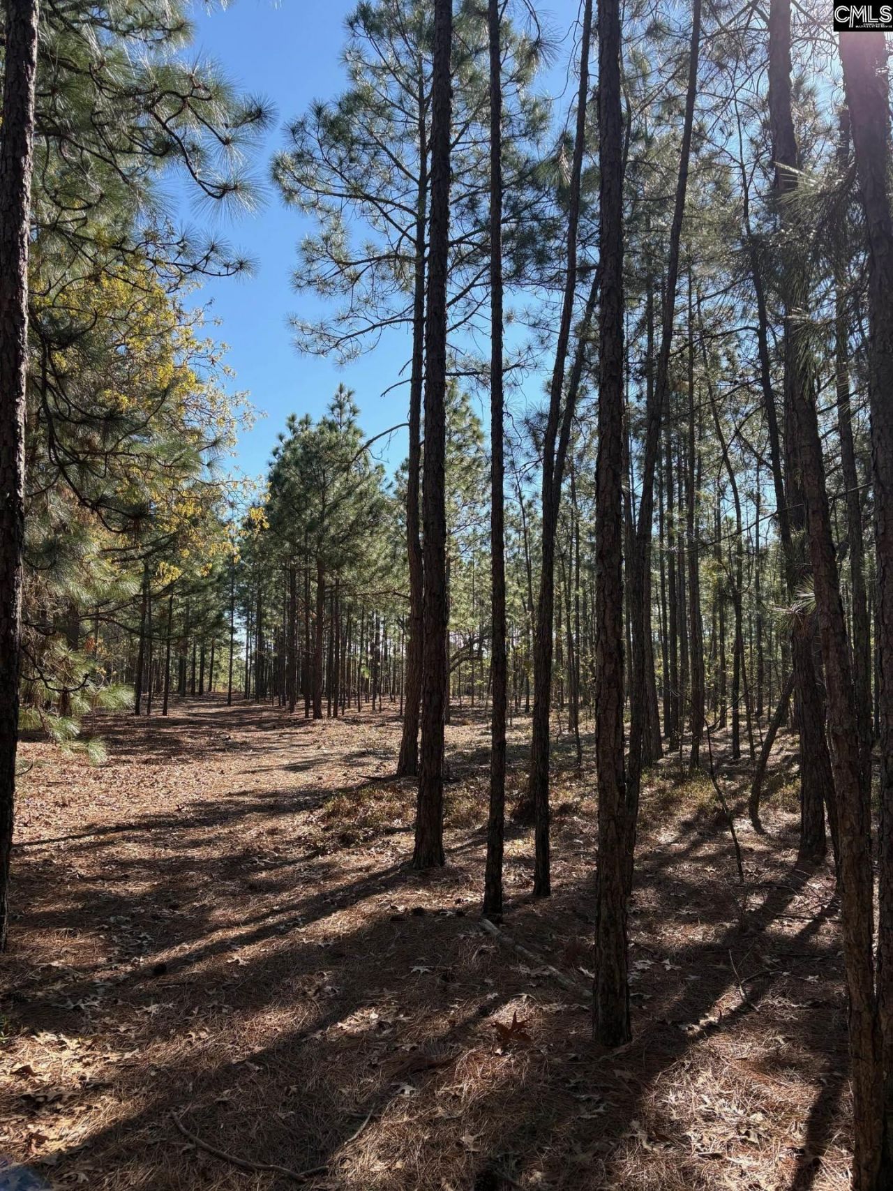 0 0 East Old Camden Hwy Photo 8