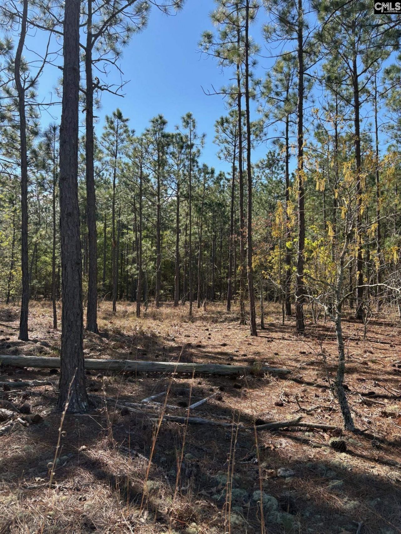 0 0 East Old Camden Hwy Photo 9