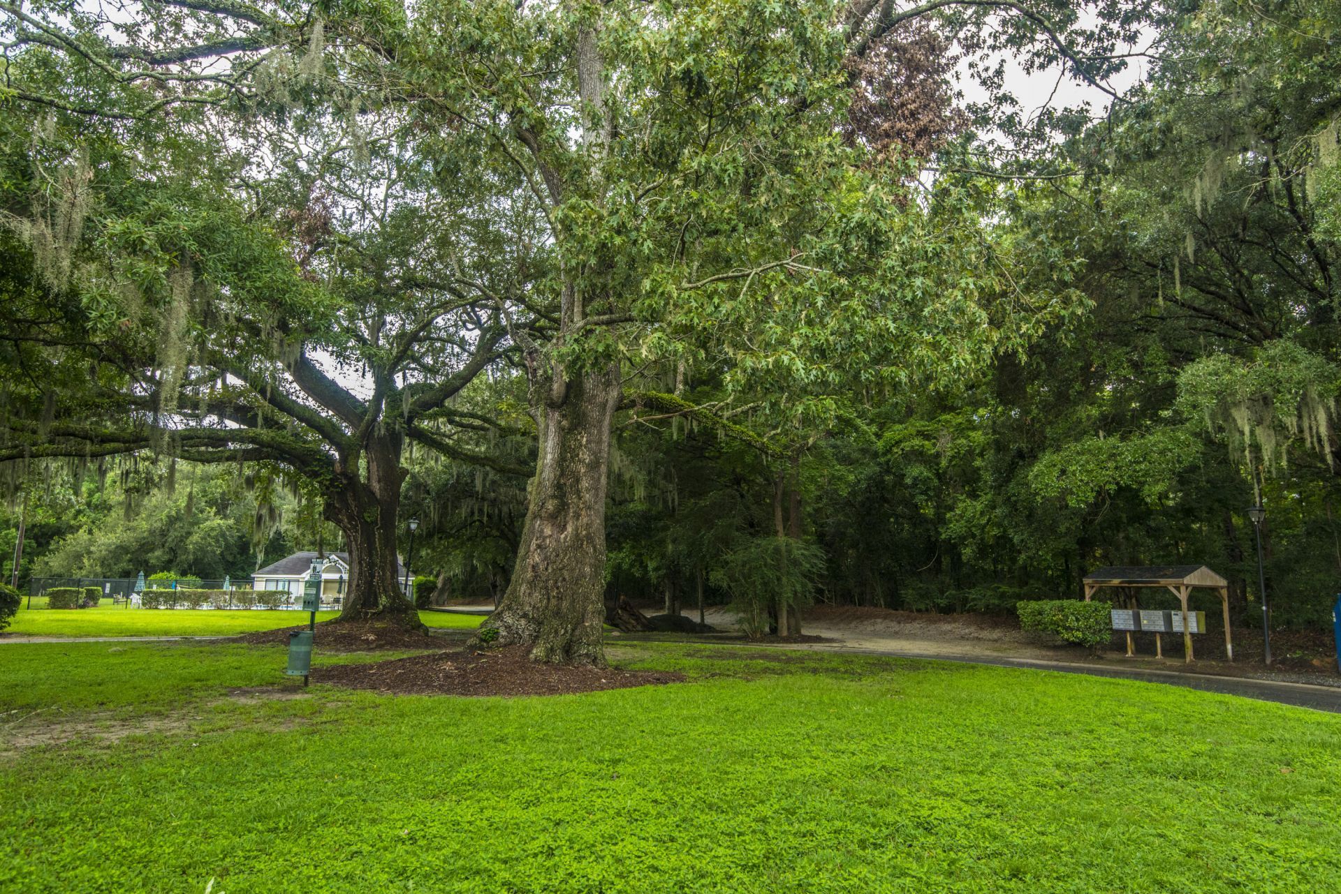 2311 Tall Sail Drive Photo 47