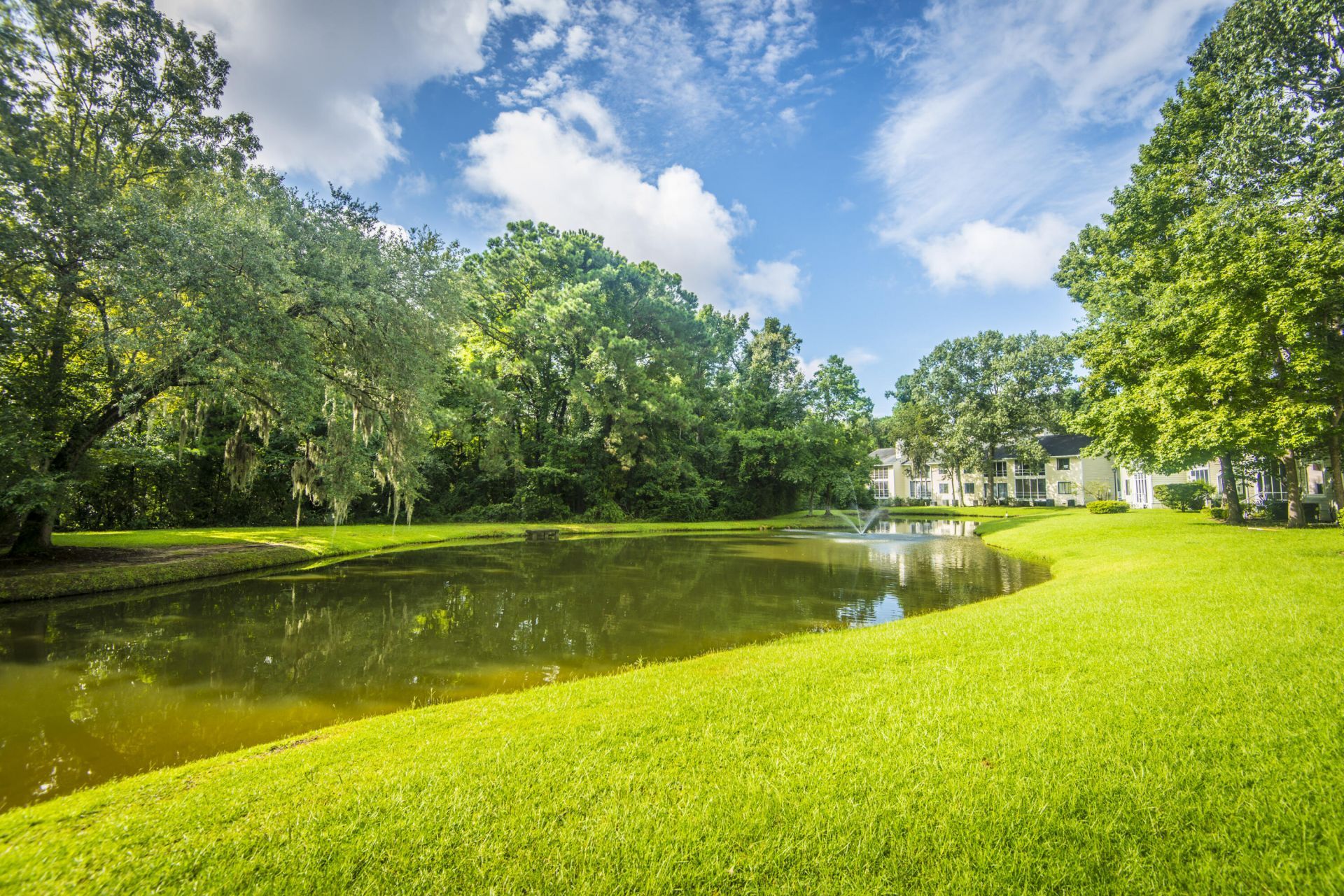 2311 Tall Sail Drive Photo 48