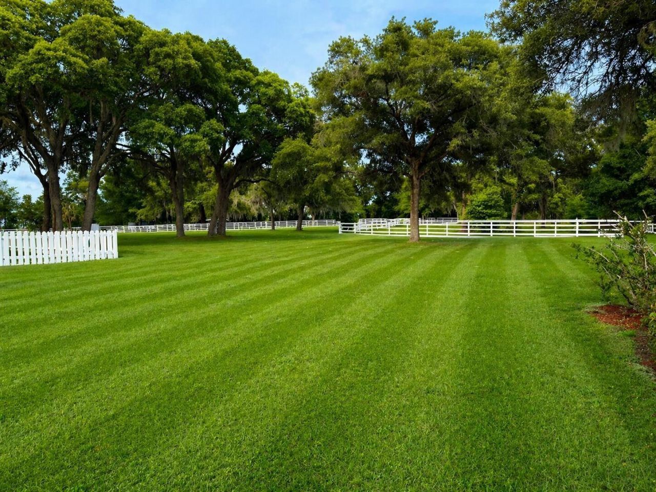 33015 Sahara Court, Sorrento, FL 32776 Photo