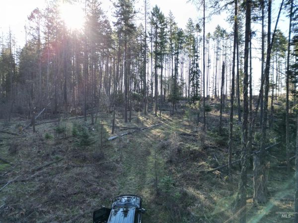 TBD Dent Bridge Road, Orofino, ID 83544