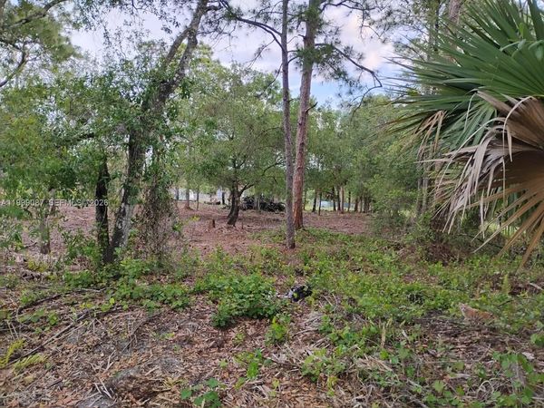 845 Appaloosa Avenue, Clewiston, FL 33440