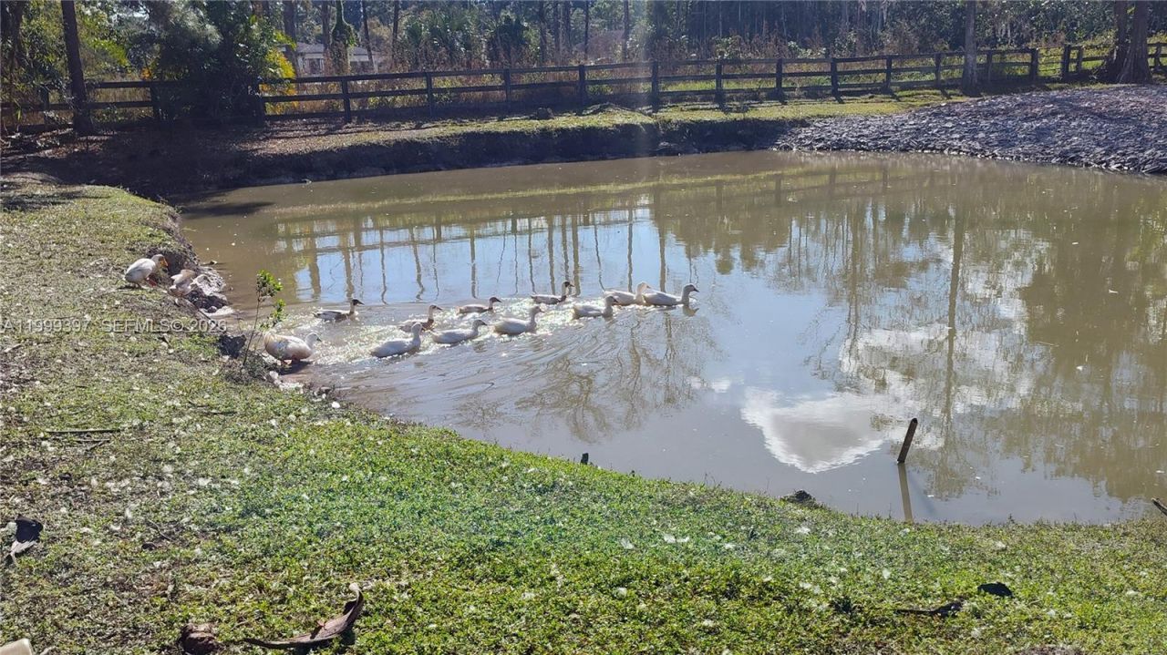 15780 N 62nd Pl N , Loxahatchee, FL 33470 Photo