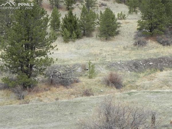 521 Monarch Drive, Cripple Creek, CO 80813