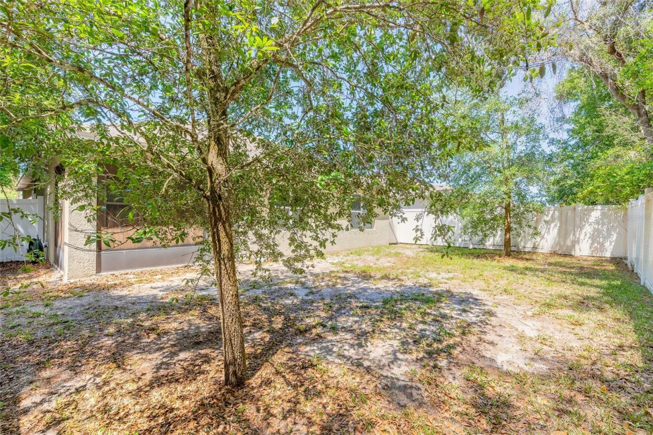 116 Fishermans Cove Drive, Edgewater, FL 32141 Photo