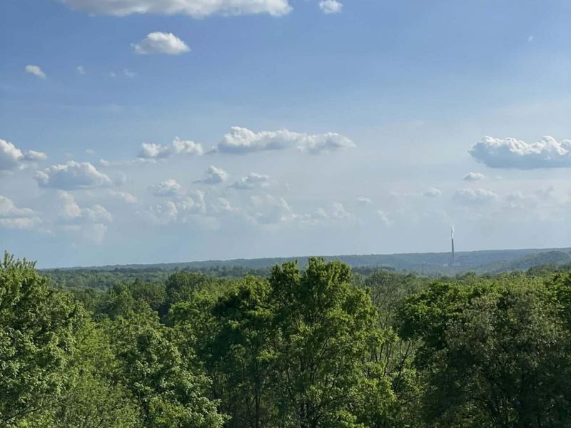 9230 E Bend Road, Burlington, KY 41005 Photo 11