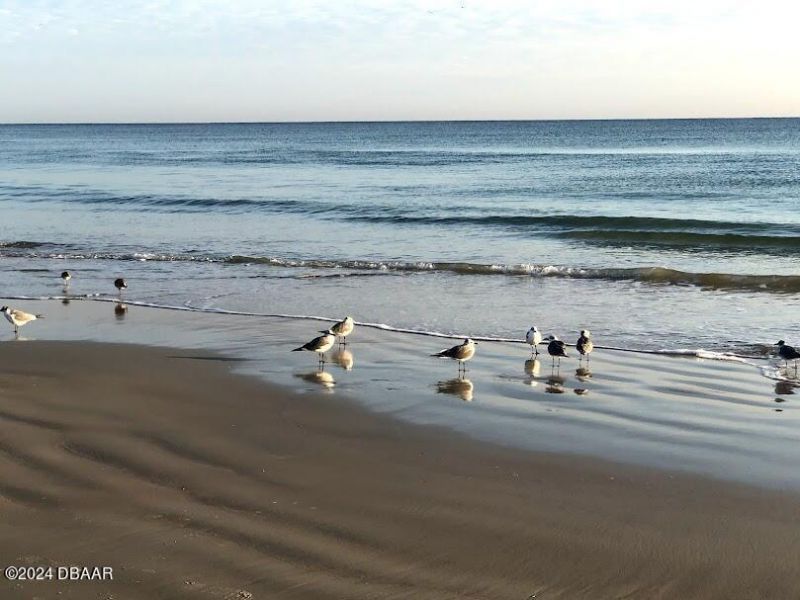 2828 N Atlantic Avenue, Unit 604, Daytona Beach, FL 32118 Photo