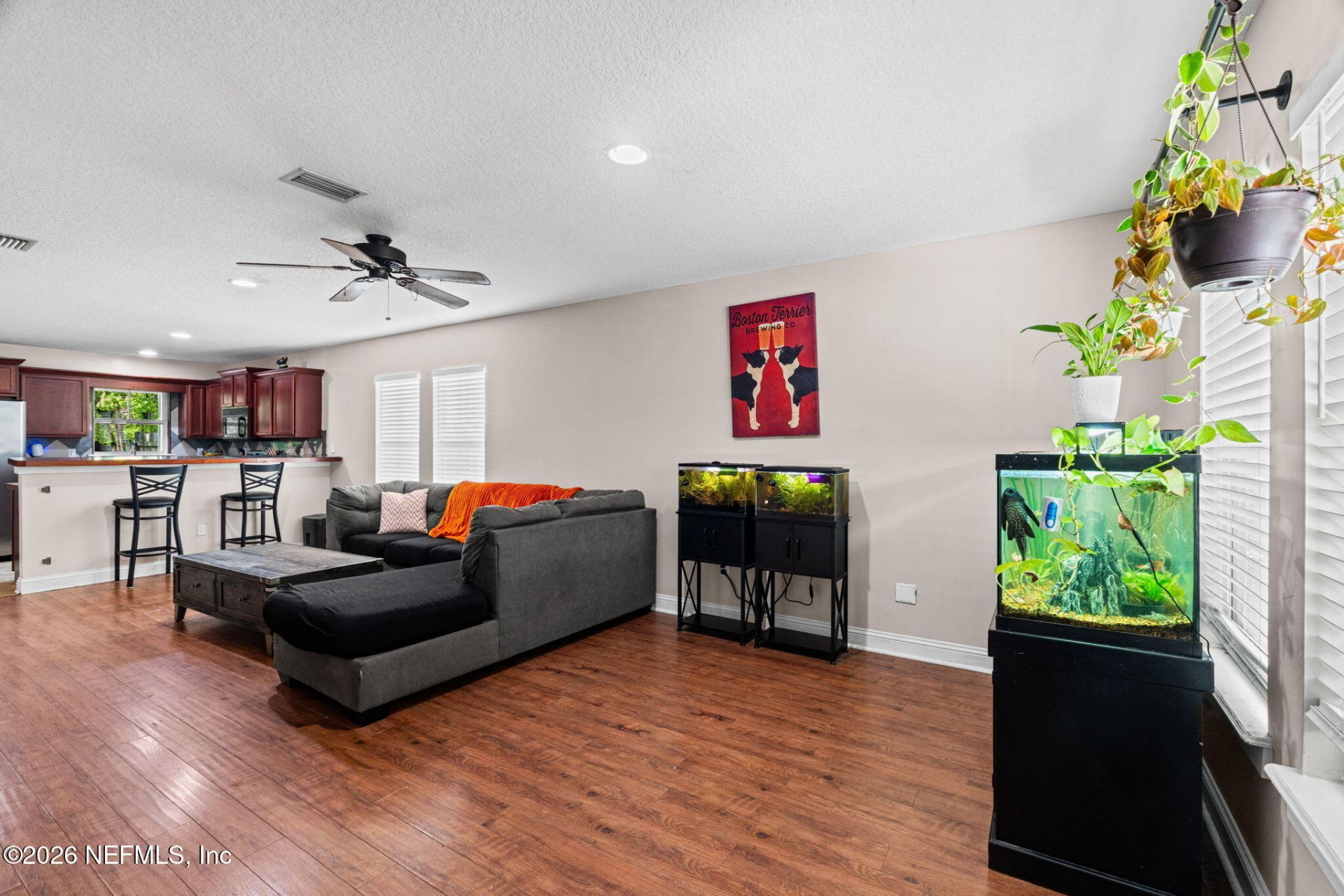 655 Corduroy Court, Orange Park, FL 32073 Photo