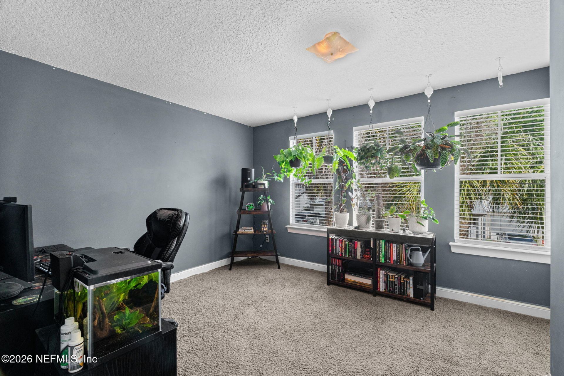 655 Corduroy Court, Orange Park, FL 32073 Photo