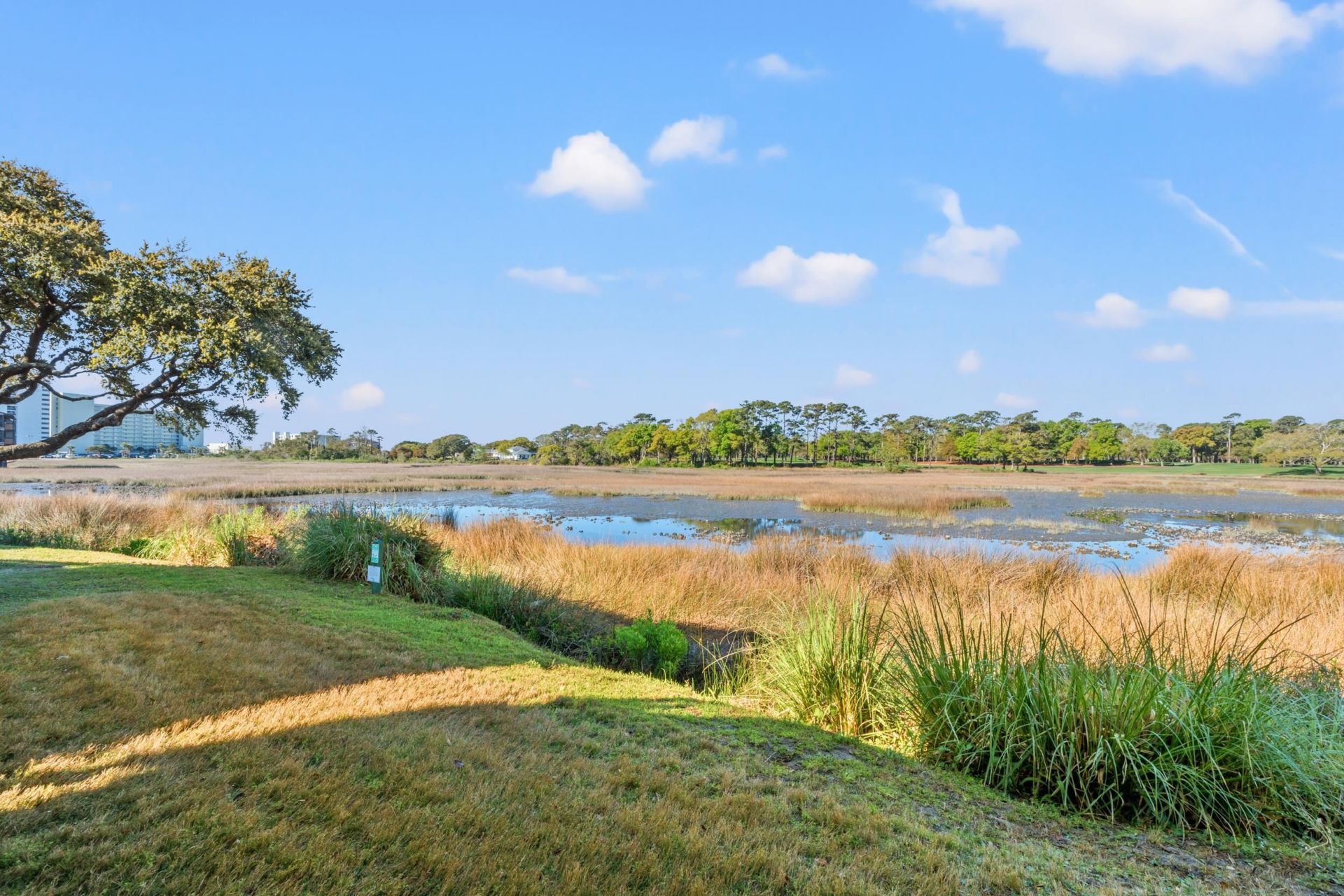 135 Marshland Ct. Photo 12