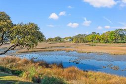 135 Marshland Ct. photo 4