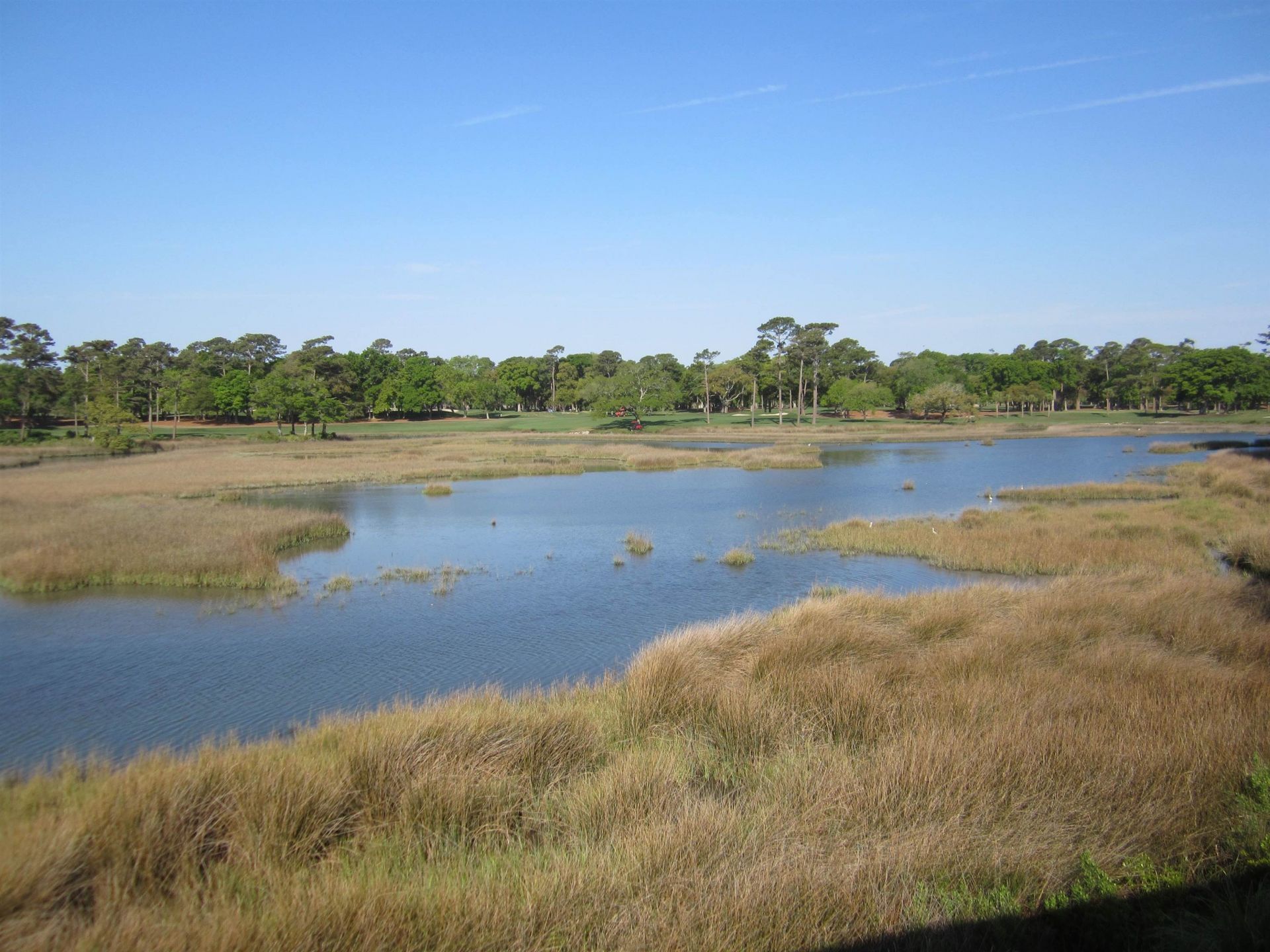 135 Marshland Ct. Photo 37