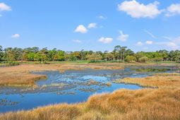 135 Marshland Ct. photo 4