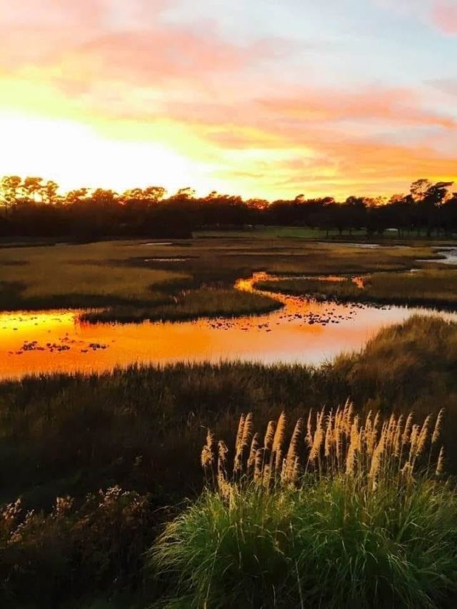 135 Marshland Ct. Photo 7