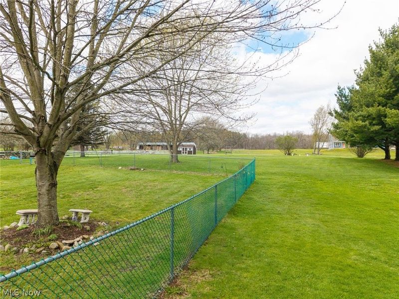 9810 Daniels Road , Seville, OH 44273 Photo 30