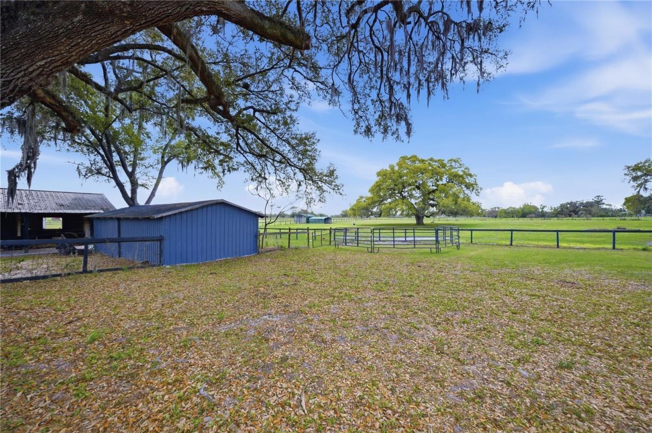 18850 SE 12th Lane , Williston, FL 32696 Photo